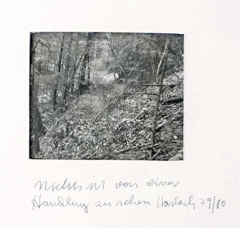 No Trace of an Action is Visible Haslach 
