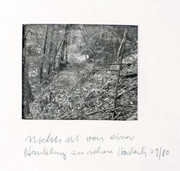 No Trace of an Action is Visible Haslach 
