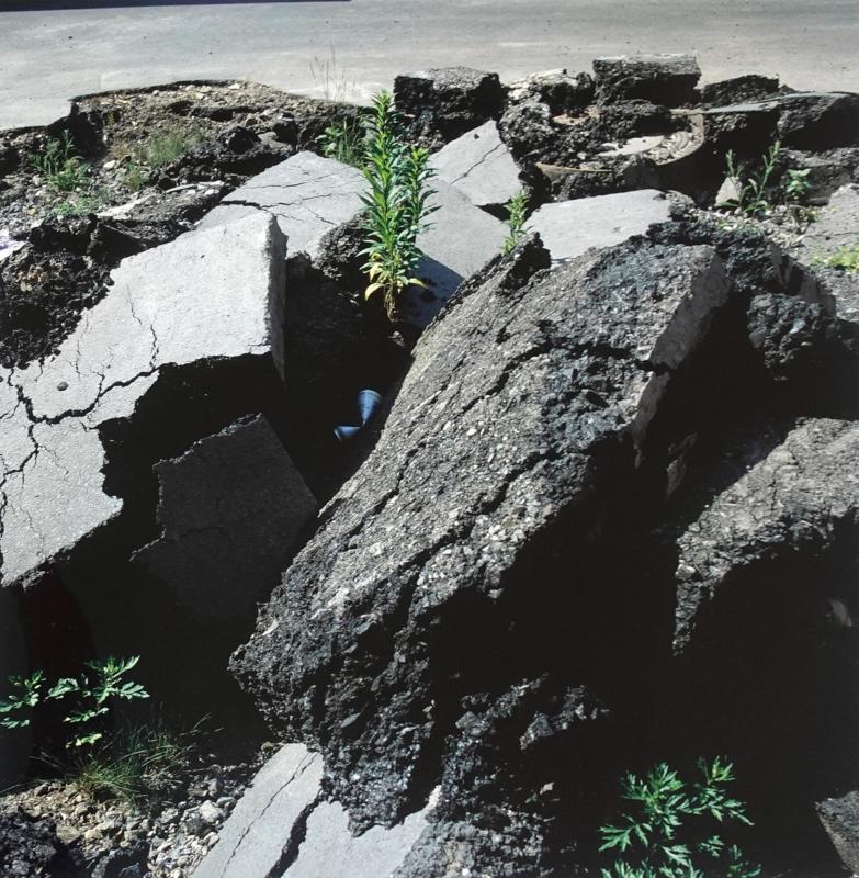 Burning and Walking, documenta X, Kassel

