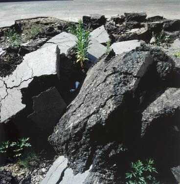 Burning and Walking, documenta X, Kassel


